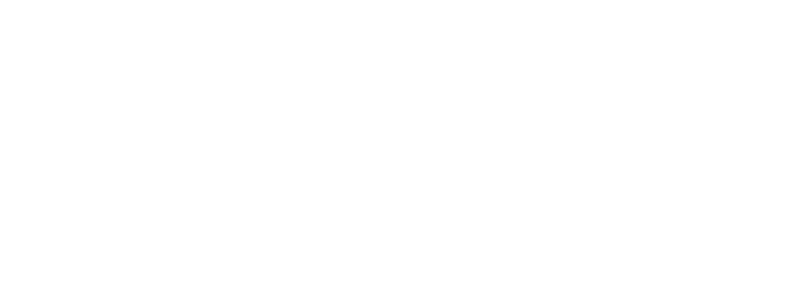 nuevo logo the project-BLANCO