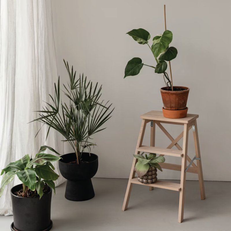 picture template 1 the project 16 picture template 1 the project 16