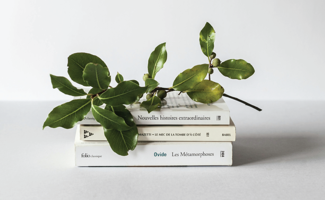 picture template 1 the project 17 picture template 1 the project 17