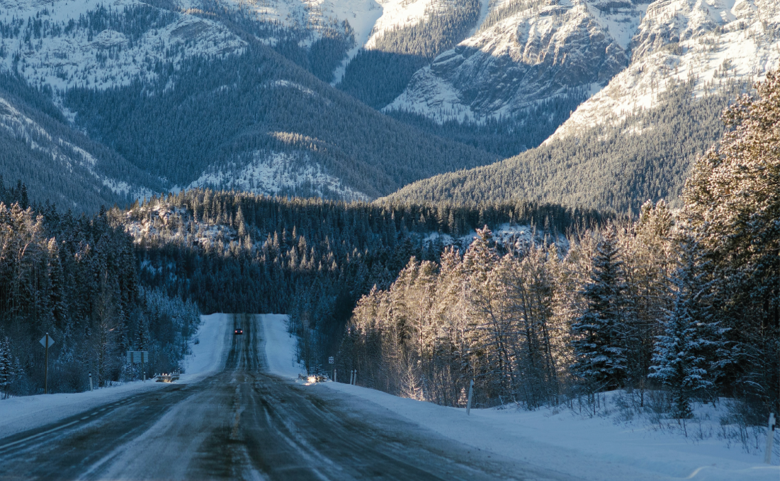 picture template 1 the project 2 picture template 1 the project 2