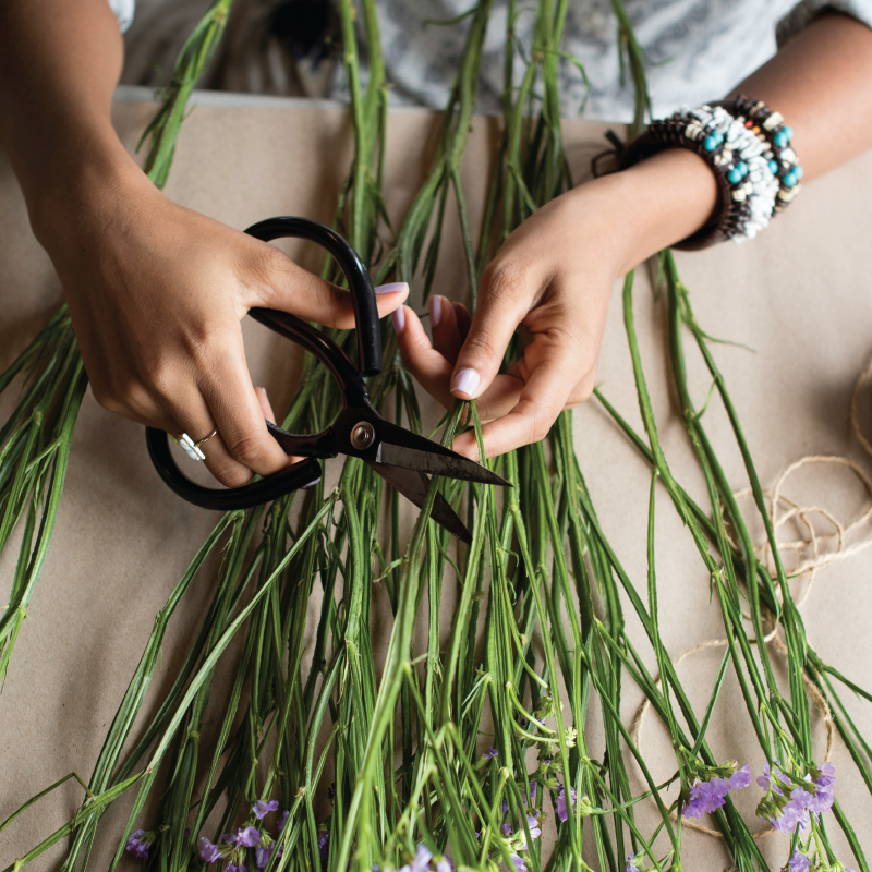 picture template 1 the project 22 picture template 1 the project 22