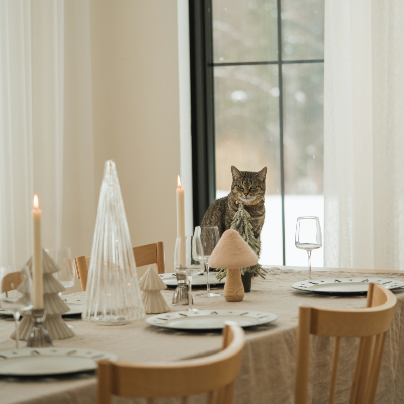 picture template 1 the project 24 picture template 1 the project 24