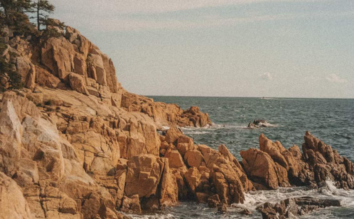 picture template 1 the project 28 picture template 1 the project 28