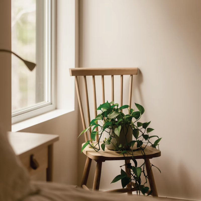 picture template 1 the project 30 picture template 1 the project 30