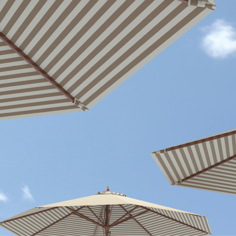 picture template 1 the project 5 picture template 1 the project 5