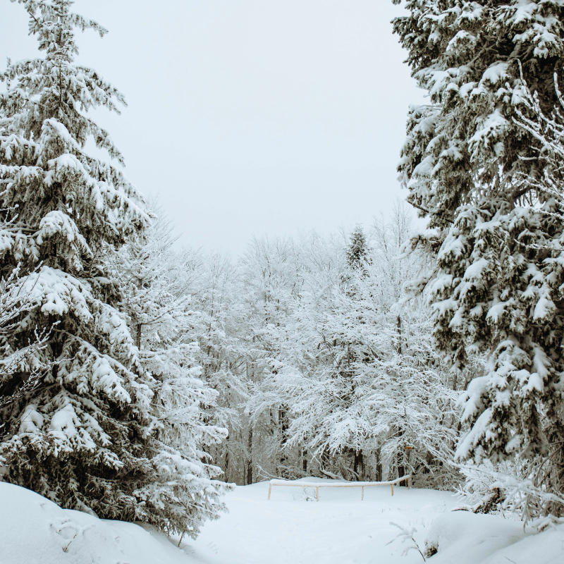 picture template 1 the project 7 picture template 1 the project 7