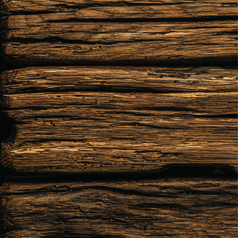 picture template 1 the project 8